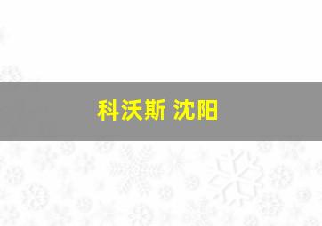 科沃斯 沈阳